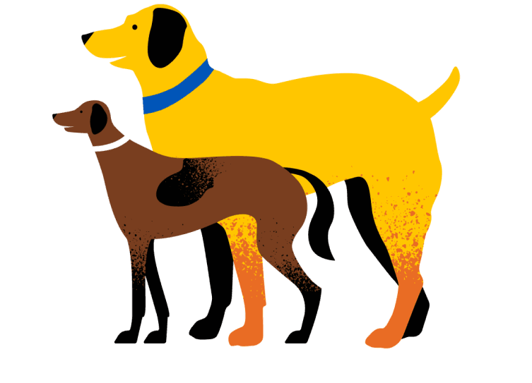 brown and yell dogs illustration - large