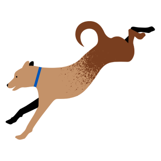 dog jumping down illustration - small