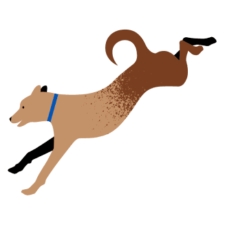 dog jumping down illustration - small