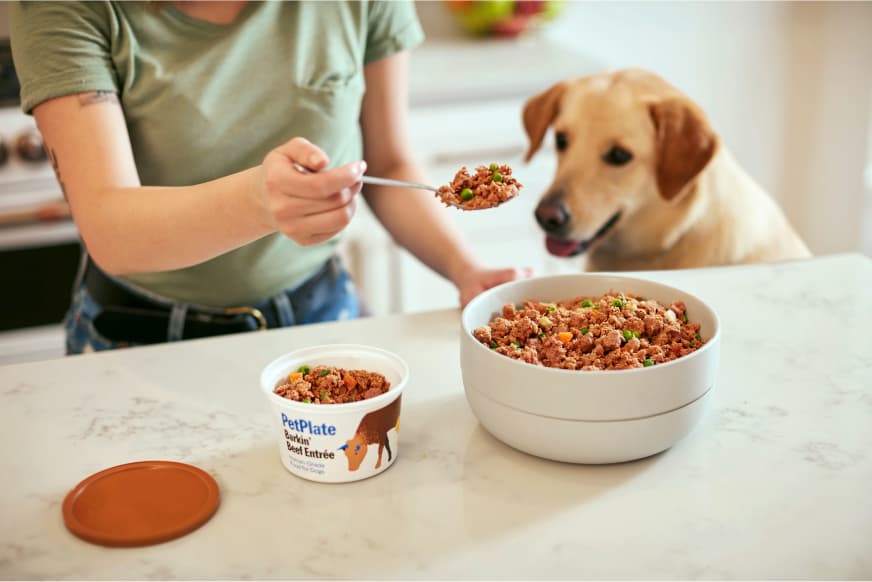 person serving a bowl of FreshCooked beef