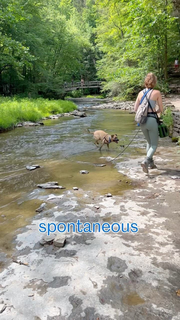 Person and dog on a hike