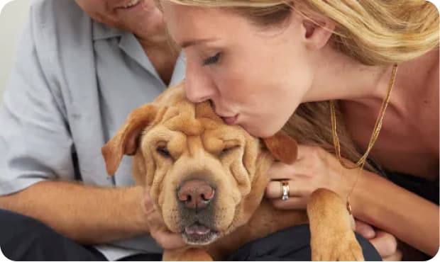 Person kissing dog