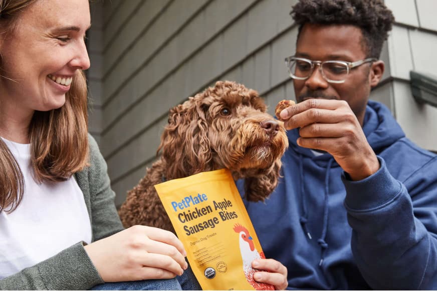 People feeding their dog treats