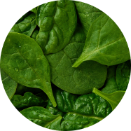 Spinach-ingredient
