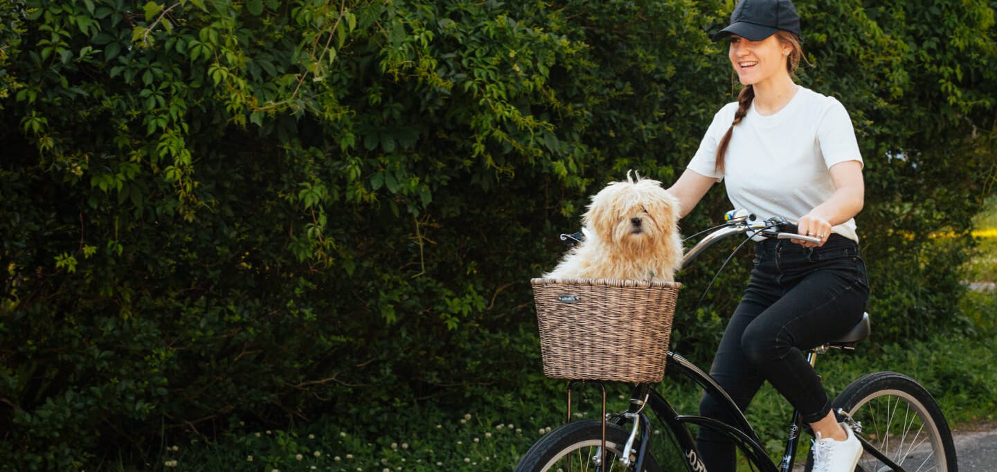 woman on bike with dog in basket