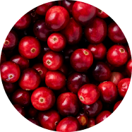 Cranberries-ingredient