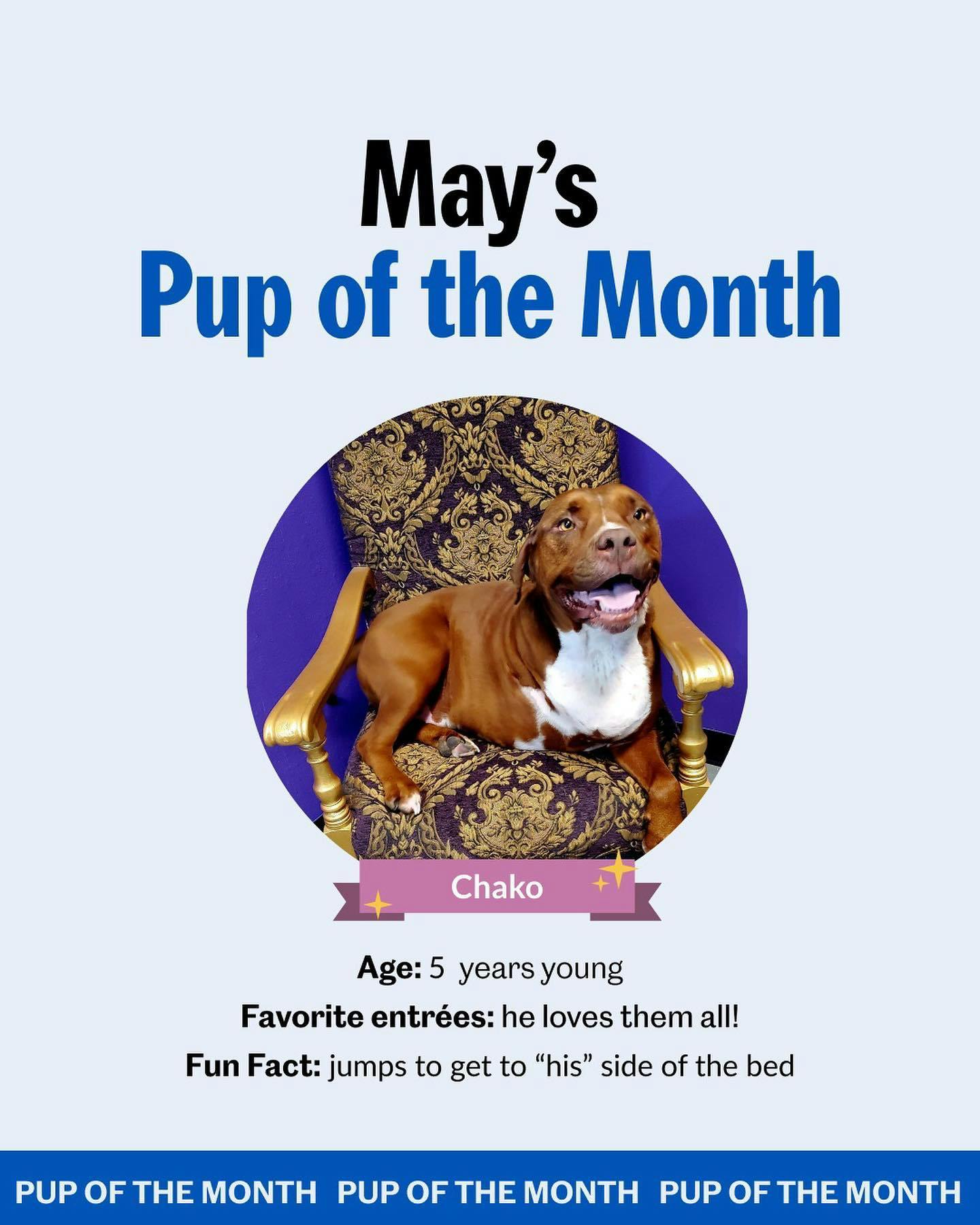 May pup of the month